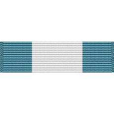 Washington Air National Guard Unit Citation Ribbon